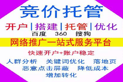 百度广告竞价之成功案例：某行业领军企业的崛起之路