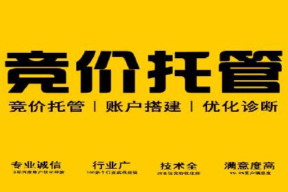 信息流广告投放策略：成功案例分享